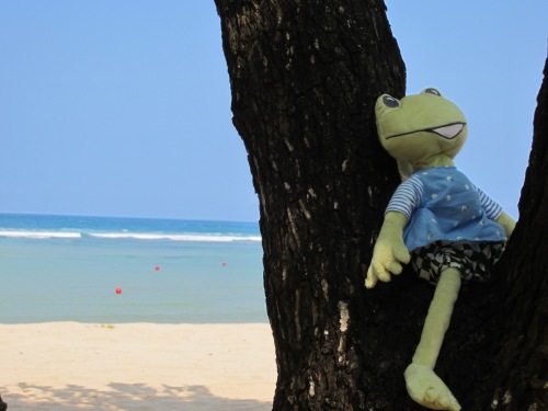 Ikea frosch am Strand in Bali 